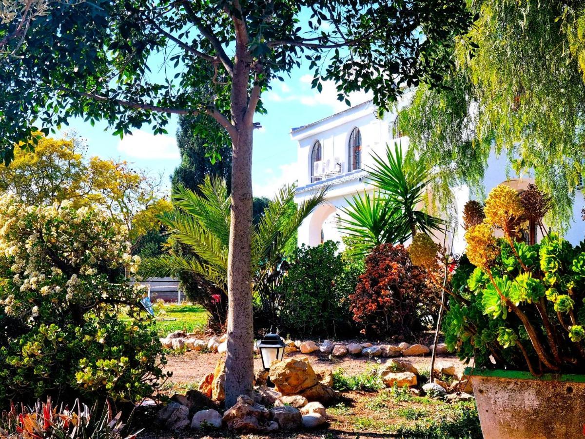 Chalet Alicante Sol Y Luz 산비센테델라스페그 외부 사진